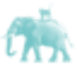 Elephants & Monkeys GmbH