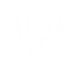 HAMMELSPRUNG GmbH