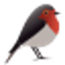 Robin GmbH