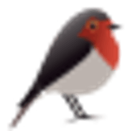 Robin GmbH