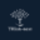 Webagentur Kiel